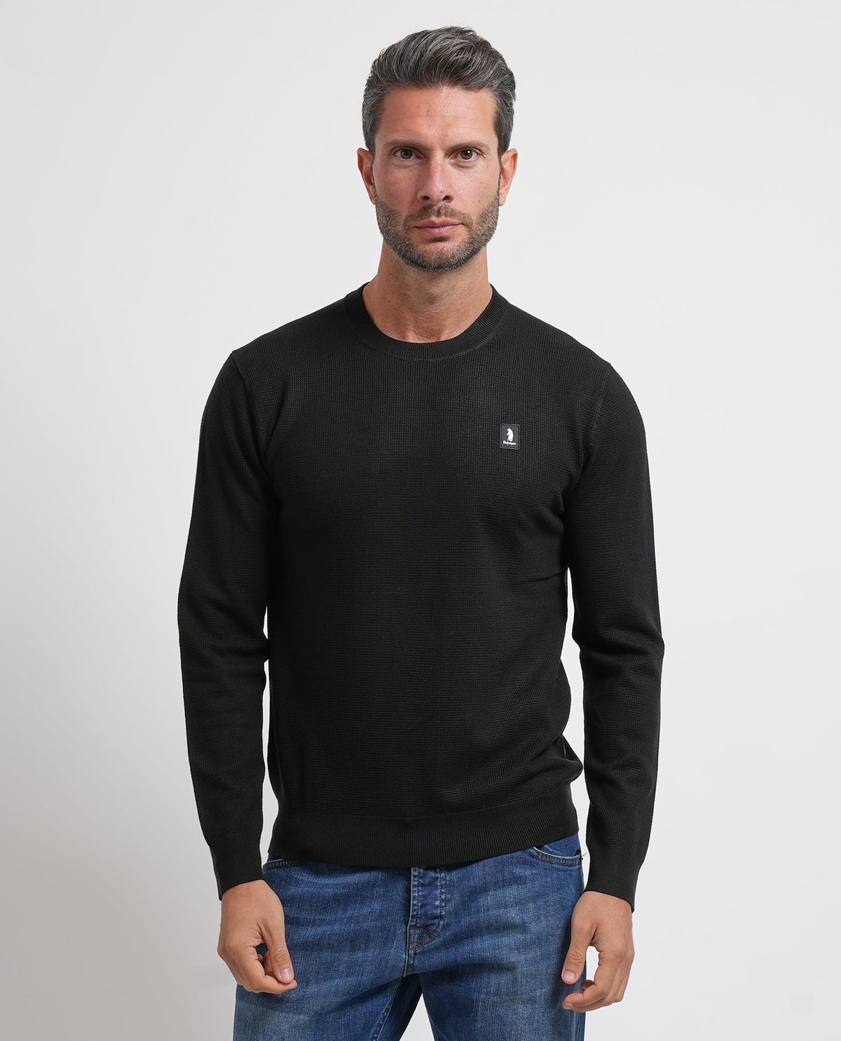Maglione uomo Refrigue girocollo con logo 