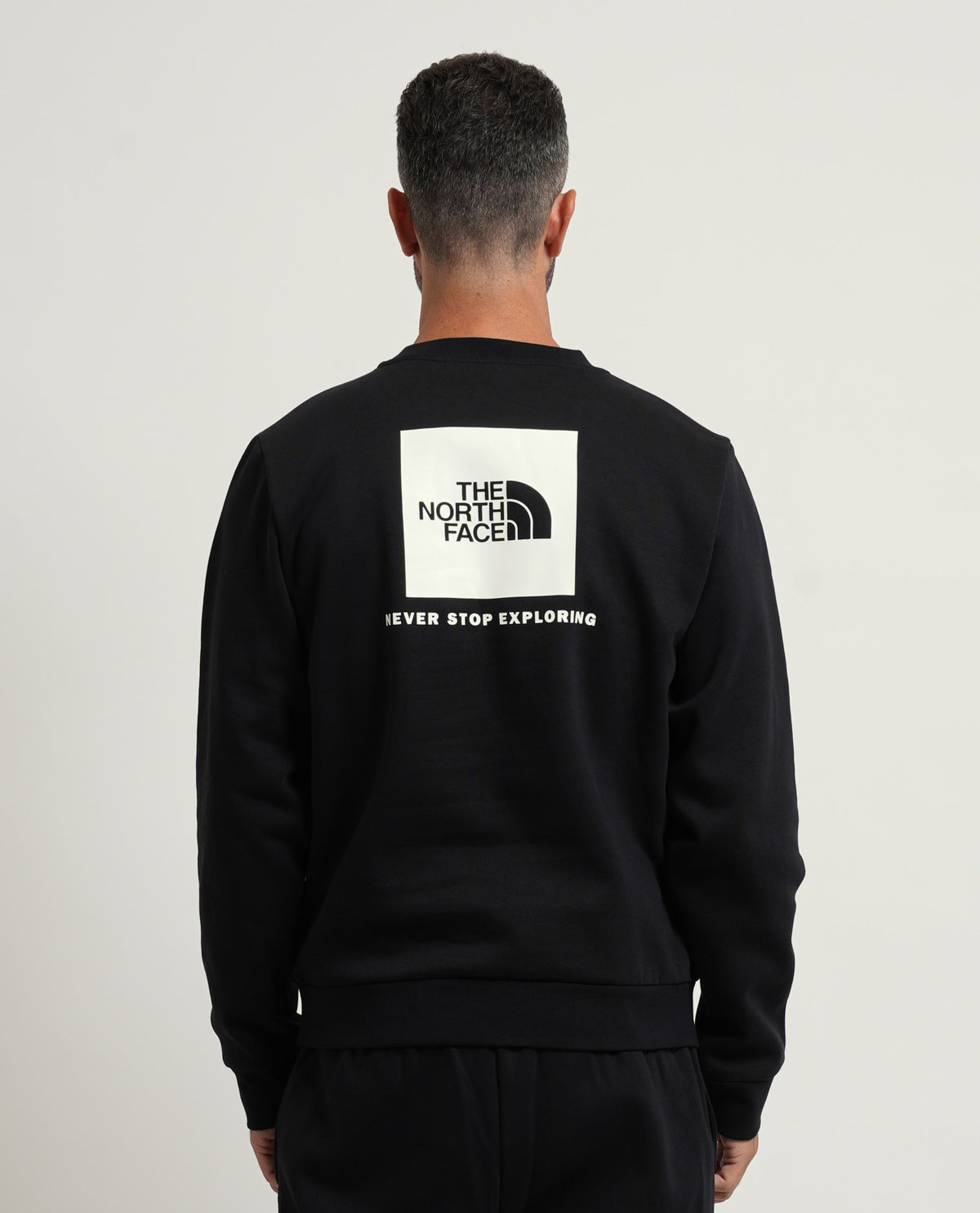 Felpa uomo The North Face con stampa posteriore 