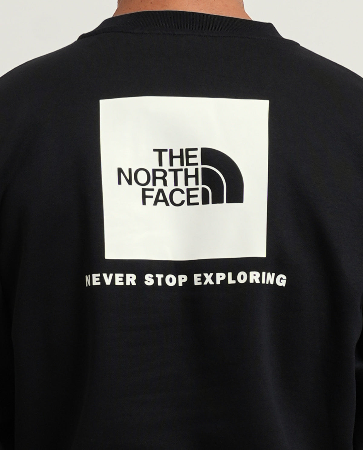 Felpa uomo The North Face con stampa posteriore 