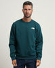 The North Face men's hoodie with back print