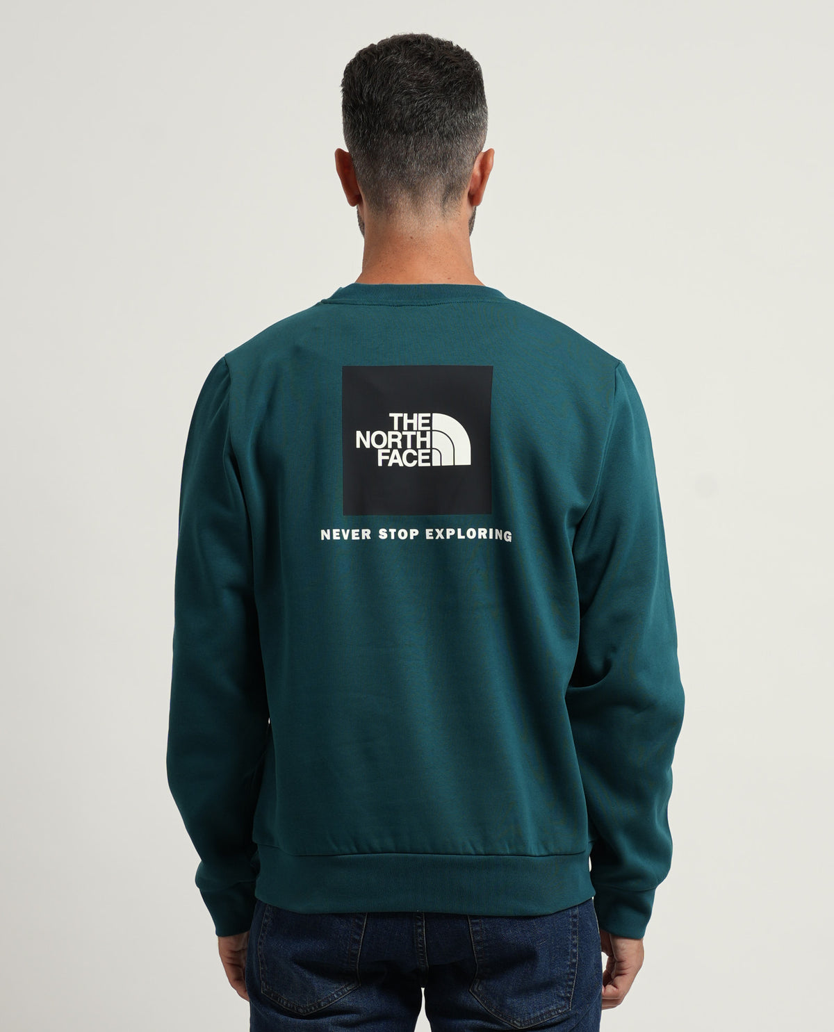 Felpa uomo The North Face con stampa posteriore 