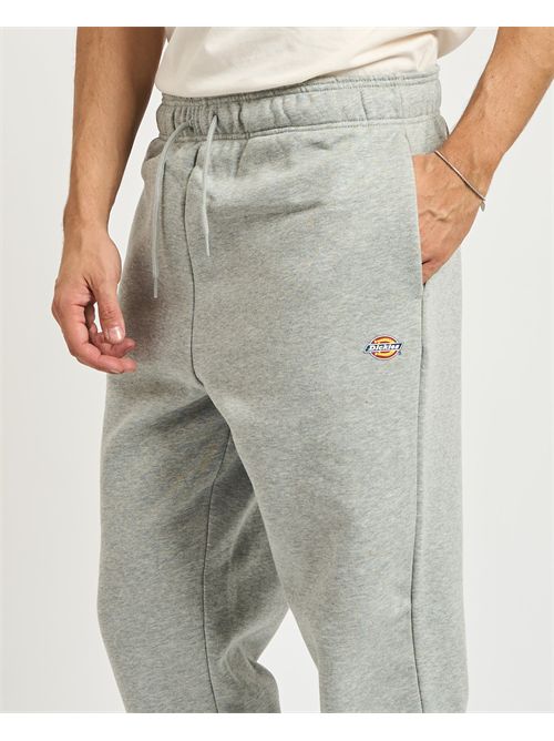  DICKIES | DK0A4XIMGYM1