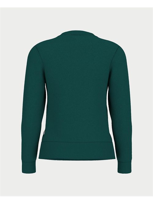 Guess Jeans long sleeve crew neck Intarsia sweater GUESS | W4BR10-Z3HM1G8FA